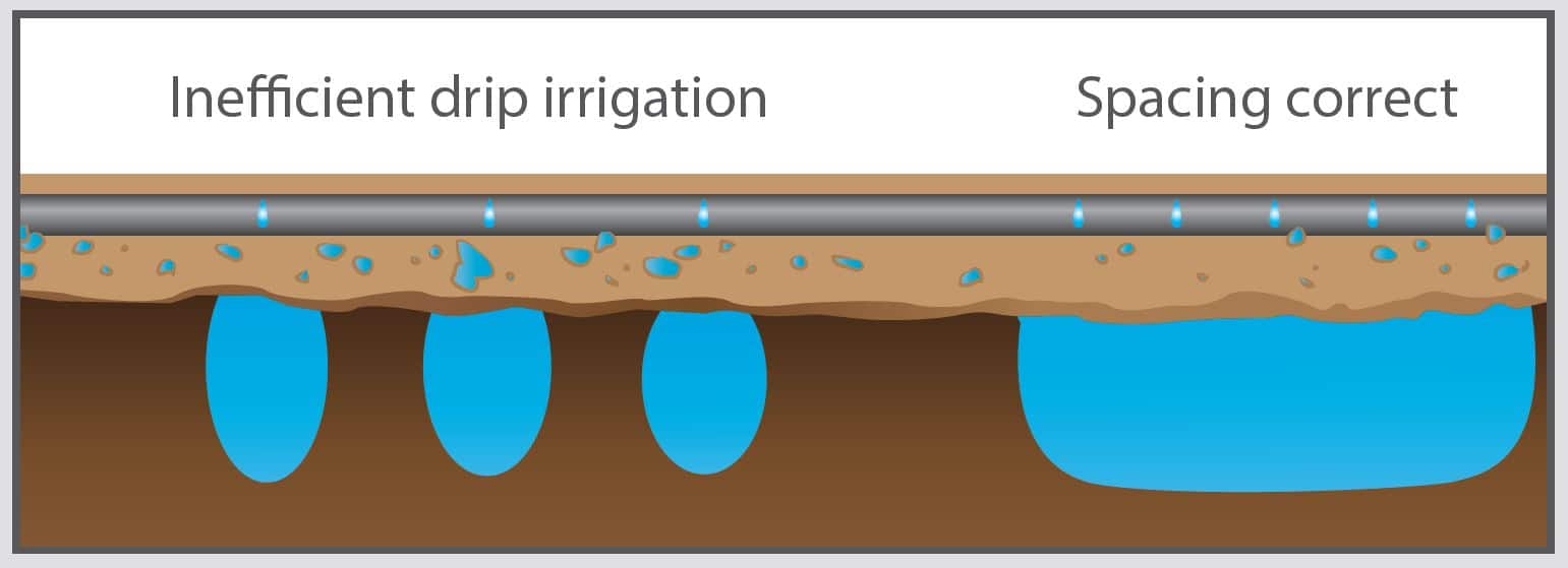 drip line for irrigation