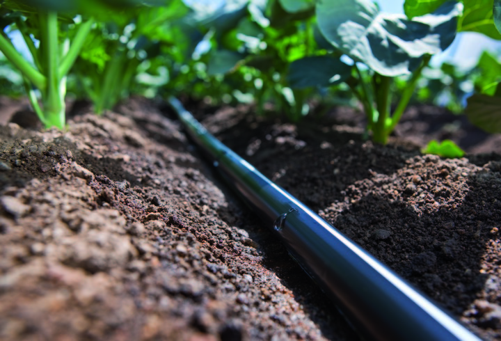 Avoid Soil Ingestion in Your Drip Irrigation System