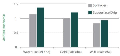 drip irrigation system save water get better Yield results TEXAS