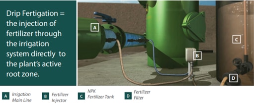 drip fertigation system