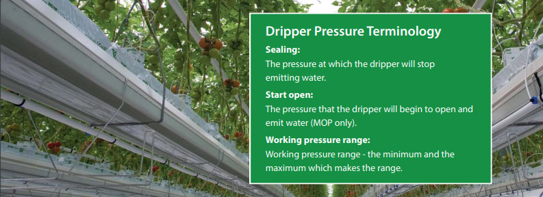 Dripper Pressure Terminology