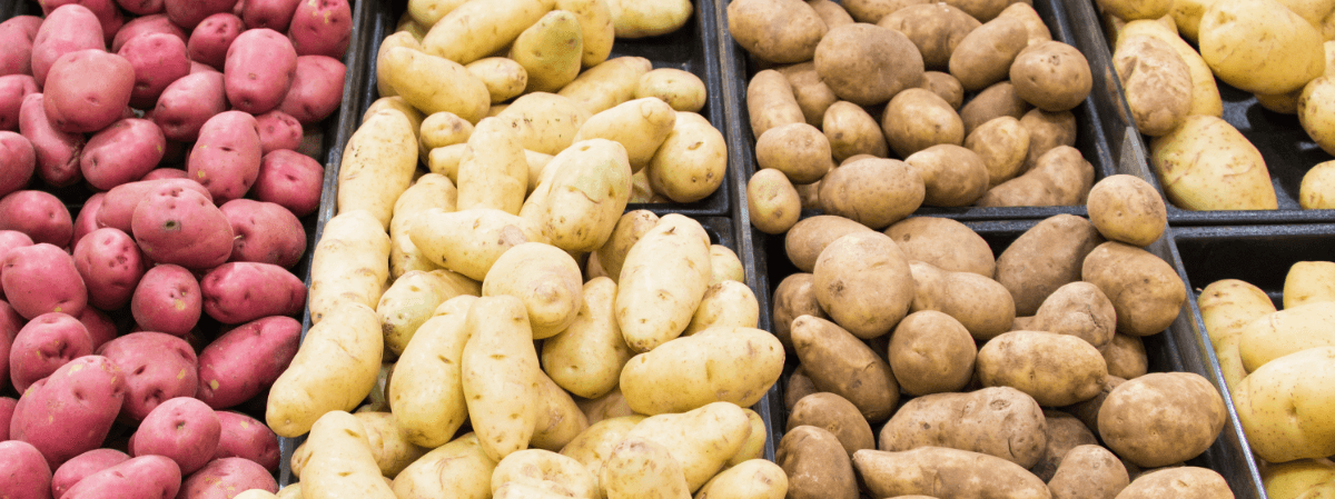 Maximize Your Potato Crop’s Growth Potential with Rivulis Irrigation System