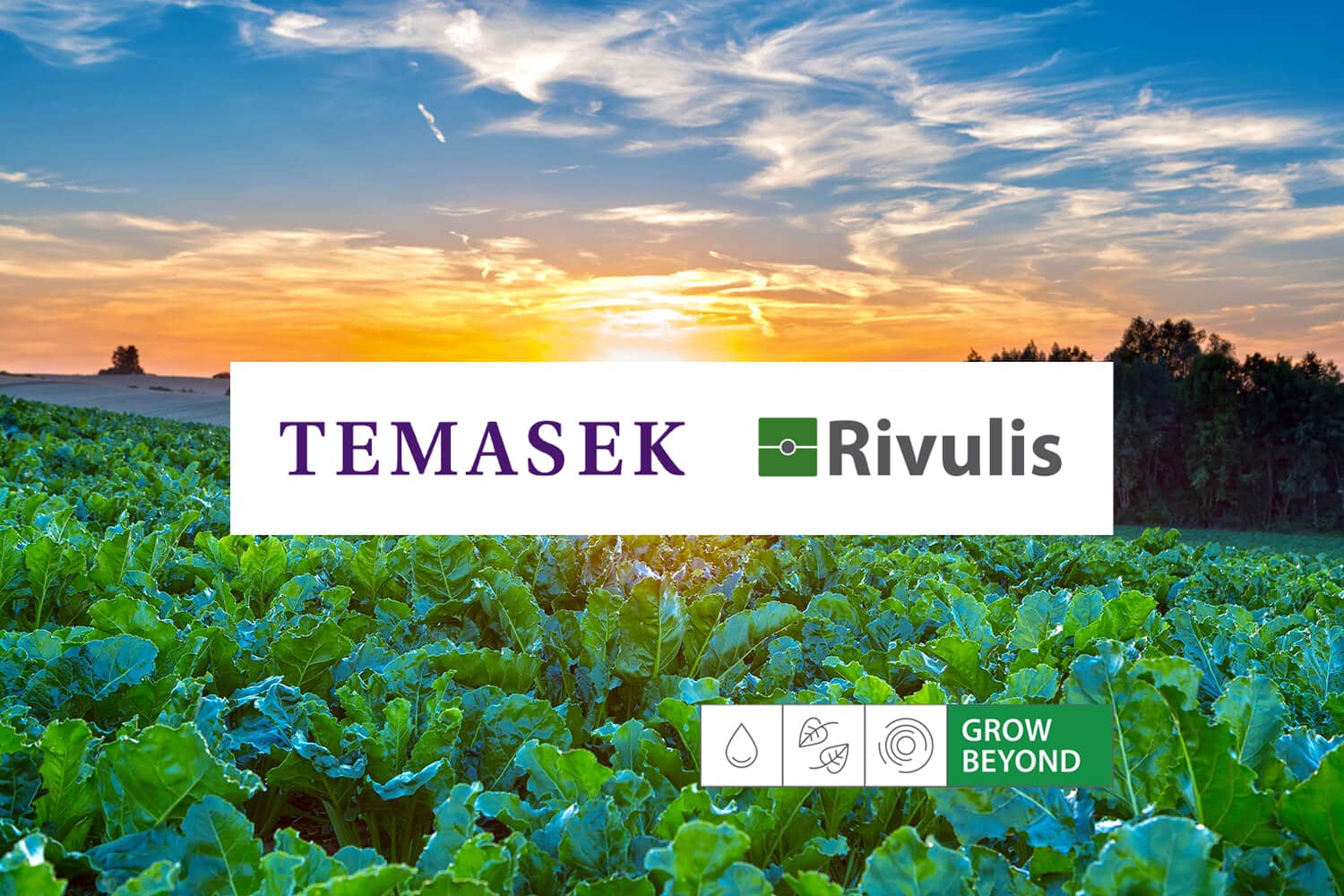 Temasek signs agreement to acquire a majority stake in Rivulis