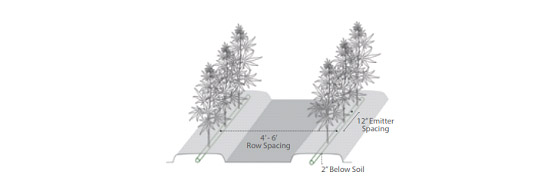 recommended spacing for drip irrigation