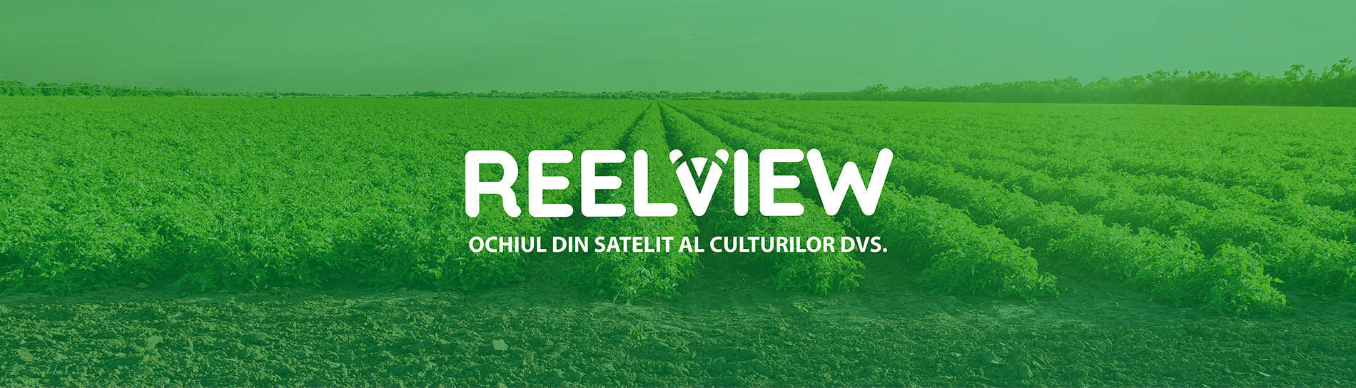 Reelview Romanian