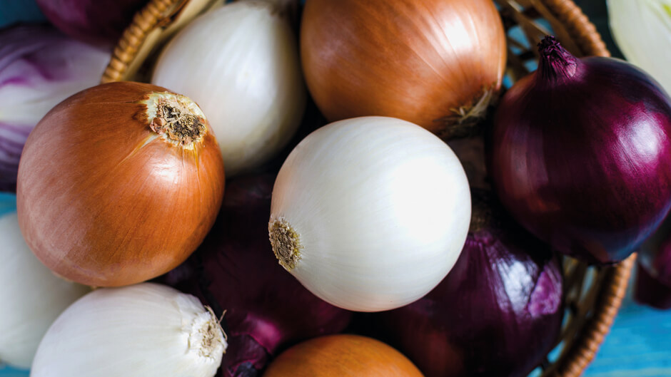 Onion is one of the oldest plant species to be domesticated and cultivated