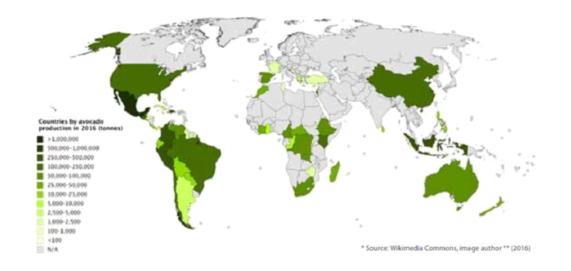 countries by avocado production