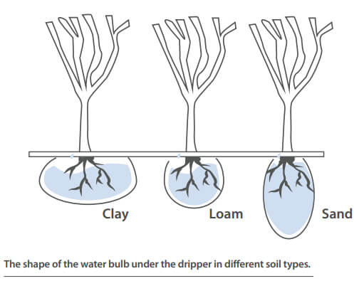 The shape of the water bulb under the dripper in different soil types