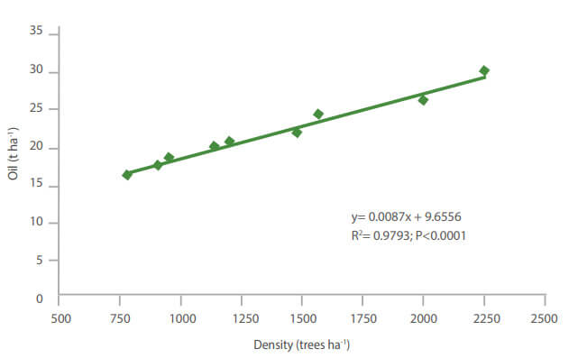 linear regression of accumulated oil per hectare over olive tree density