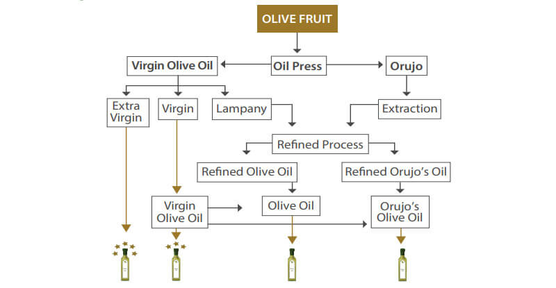olive oil production process