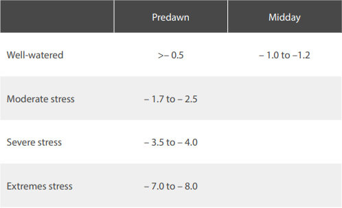 Typical values of stem water potential (MPa) at different levels of water stress