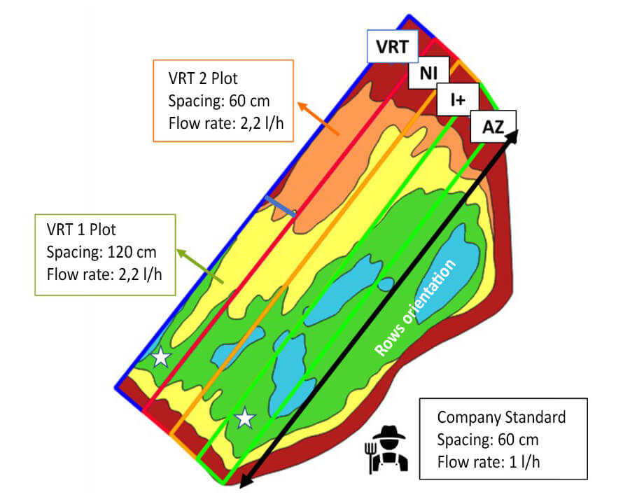 POSITIONING OF THE 4 THESES IN THE VINEYARD AND CHARACTERISTICS OF THE IRRIGATION SYSTEM