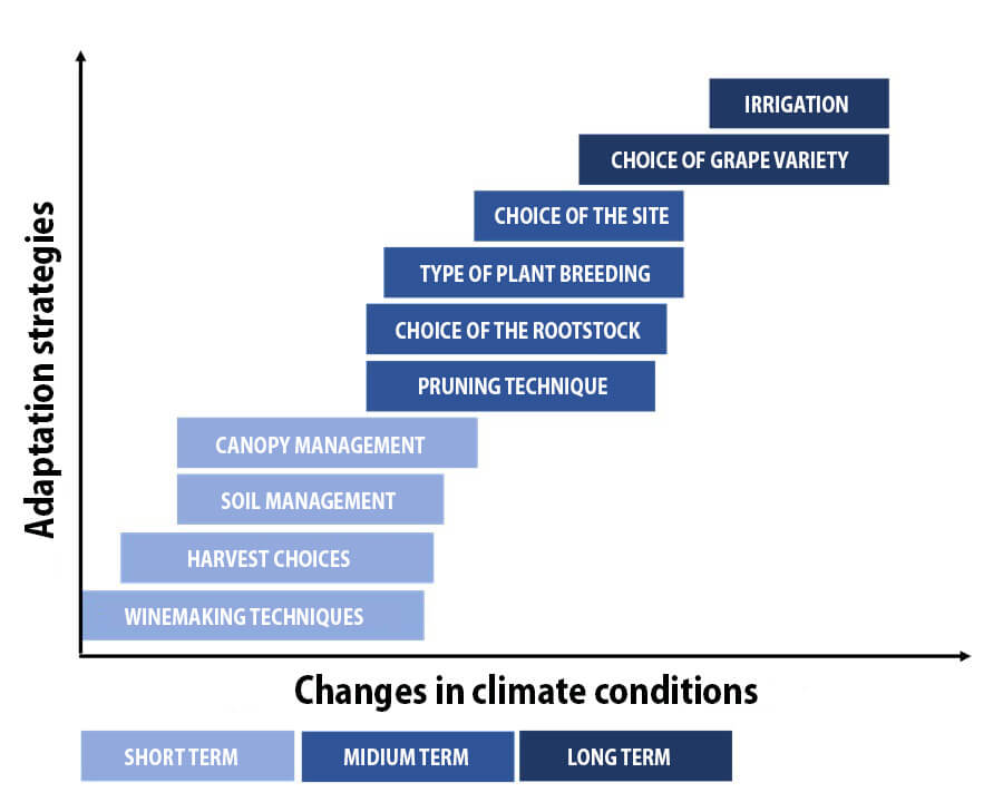 Adaptation strategies in changing climate conditions