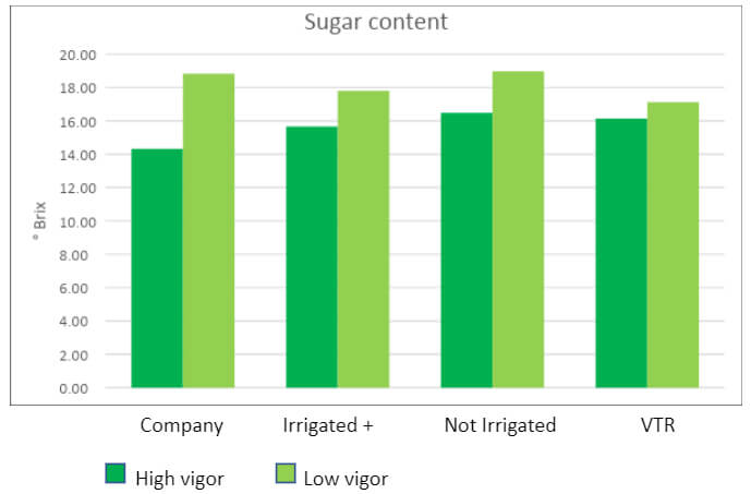 GRAPE 4 : SUGAR CONTENT AT HARVEST (2021)