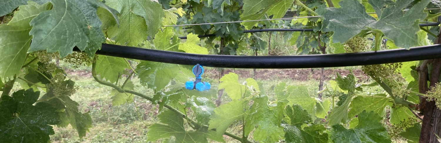 A new multi-functional vineyard irrigation system addressing climate change