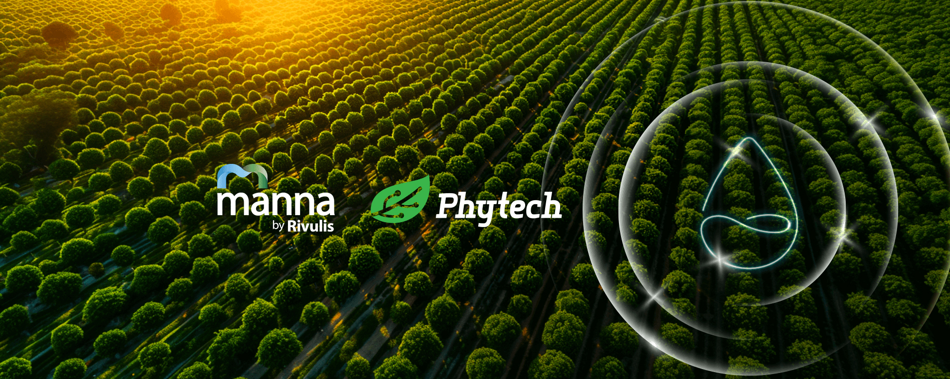 Rivulis and Phytech Announce Strategic Partnership to Advance Sustainable Agriculture