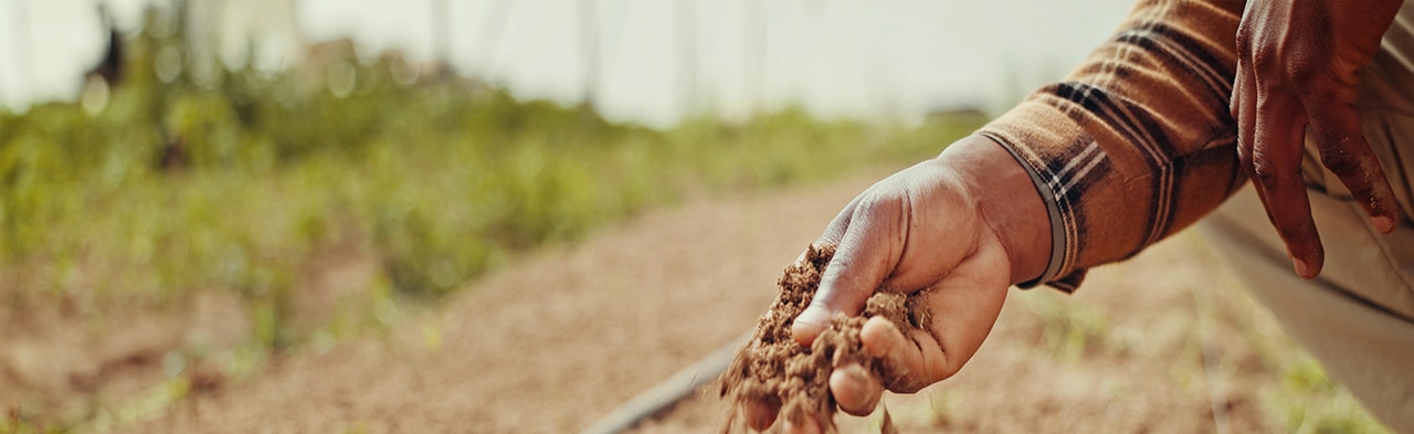 The Silent Killer in Drip Irrigation