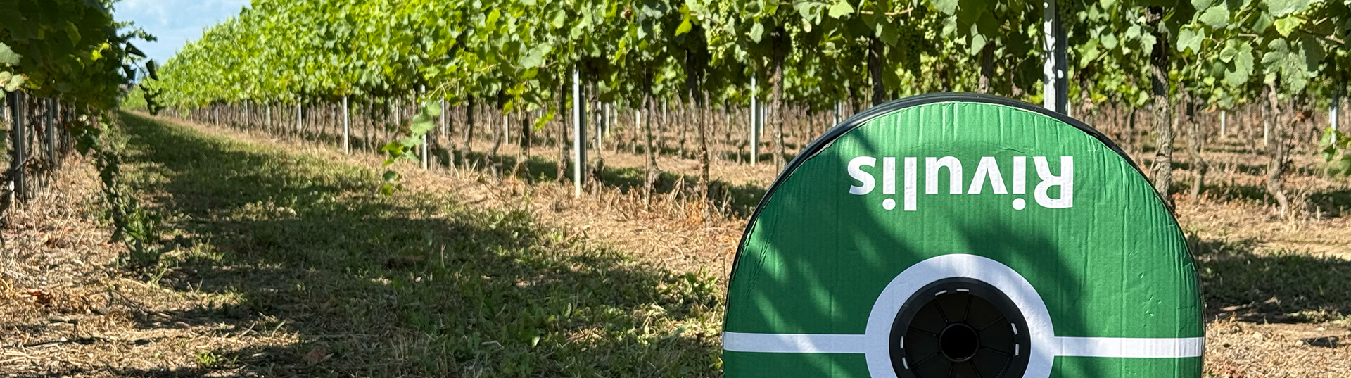 Fragmented and Hard-to-Manage Irrigation: How Rivulis Solved the Problems in Daniele Avoledo’s Vineyards